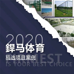 【回顧】2020年體育全年精選項目案例！